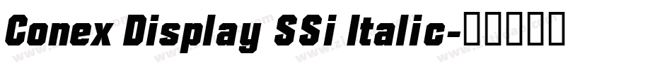 Conex Display SSi Italic字体转换